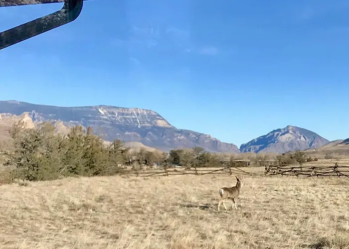 Yellowstone Cutthroat Guest Ranch 2* Wapiti