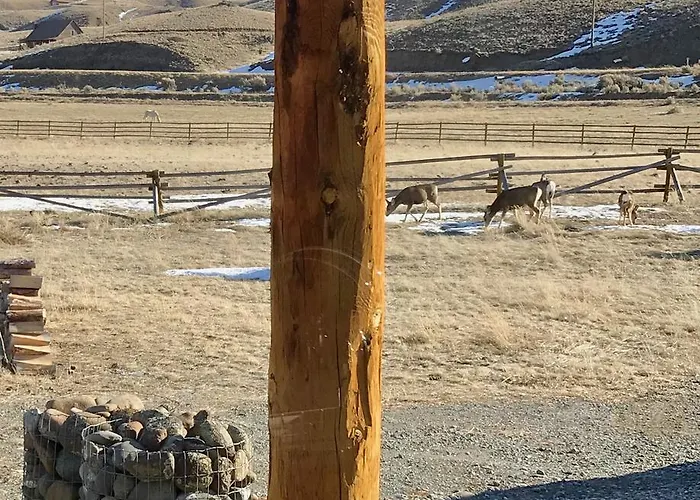 Yellowstone Cutthroat Guest Ranch Wapiti